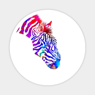 Rainbow Zebra Magnet